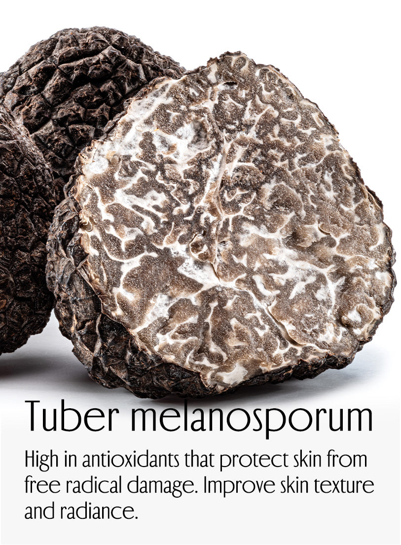 Core Indredient, Tuber melanosporum High in antioxidants that protect skin from free radical damage. Improve skin texture and radiance.