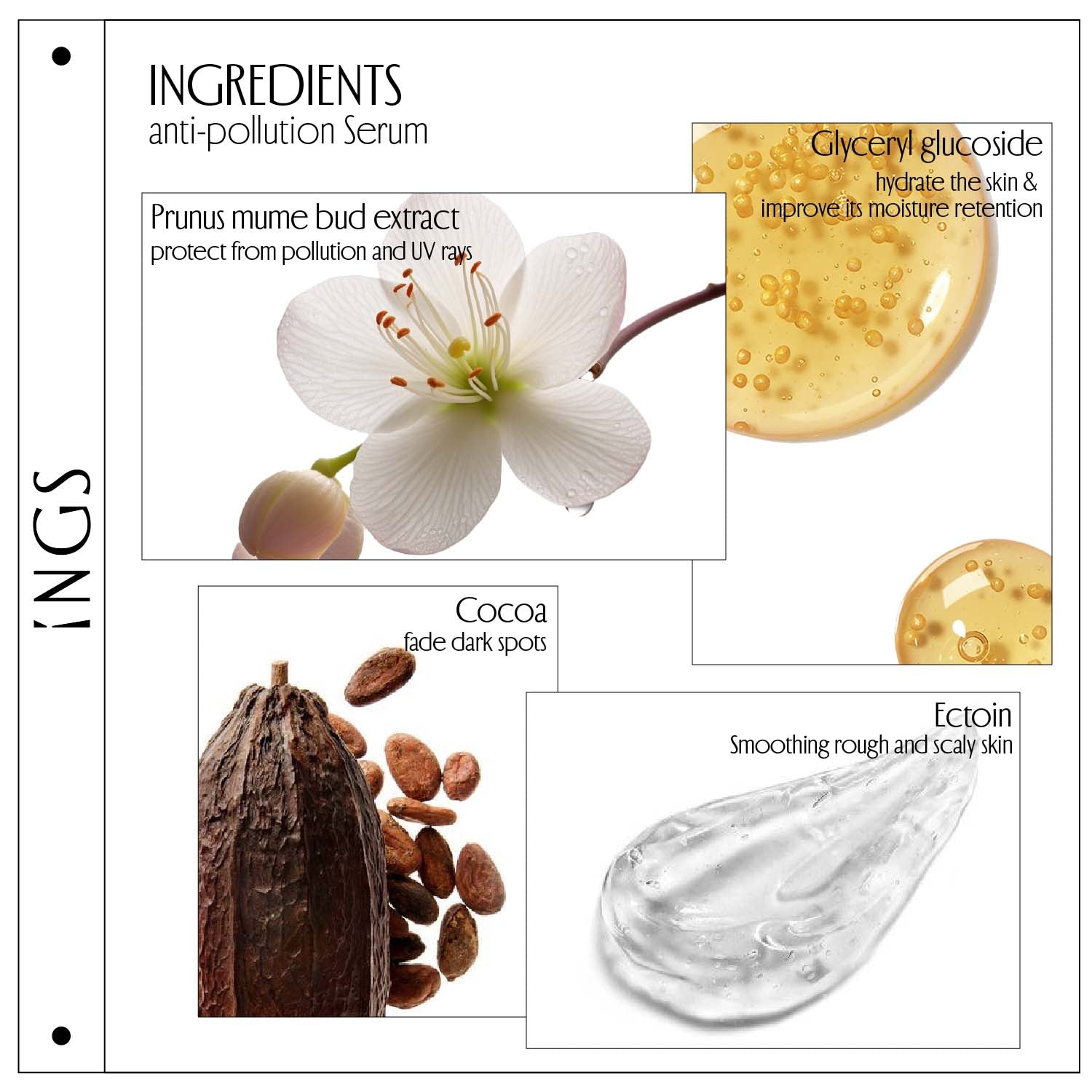 Anti pollution skincare serum with natural ingredients such as prunus mume bud extract