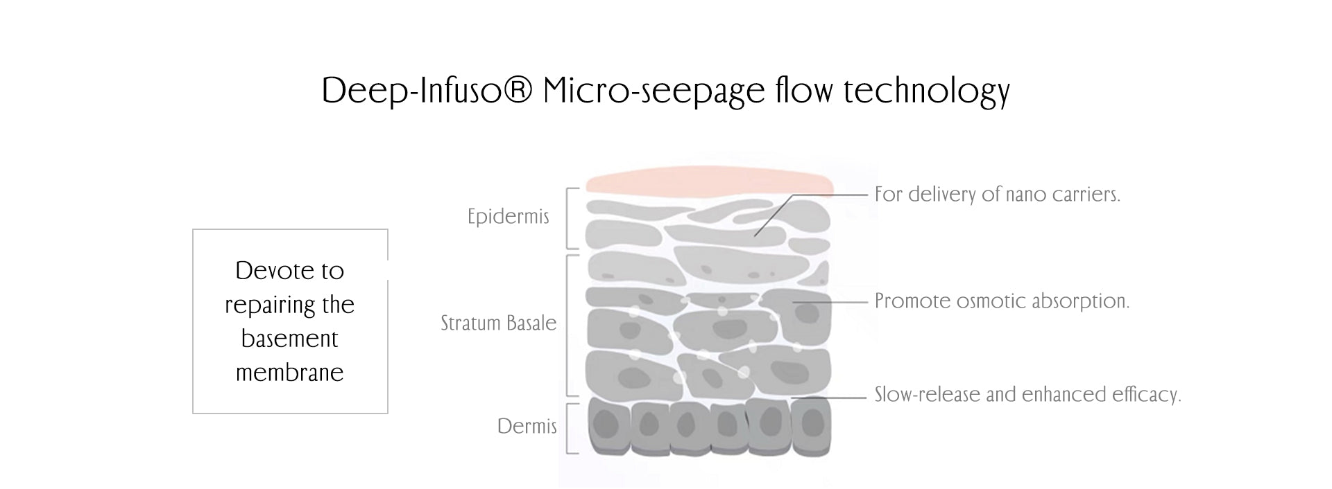 INGS Deep-Infuso® Micro-seepage flow technology