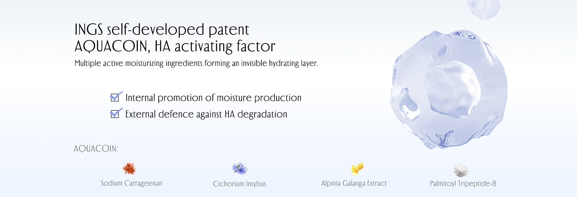 Multiple active moisturizing ingredients forming an invisible hydrating layer.  Internal promotion of moisture production. External defence against HA degradation. Include Alpinia Galanga Extract, Sodium Carrageenan, Cichorium Intybus, Palmitoyl Tripeptide-8