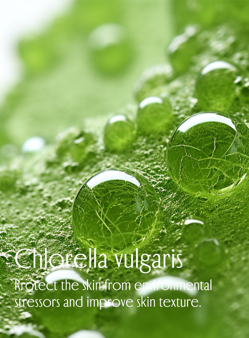 Chlorella vulgaris extract, Rrotect the skin from environmental stressors and improve skin texture.