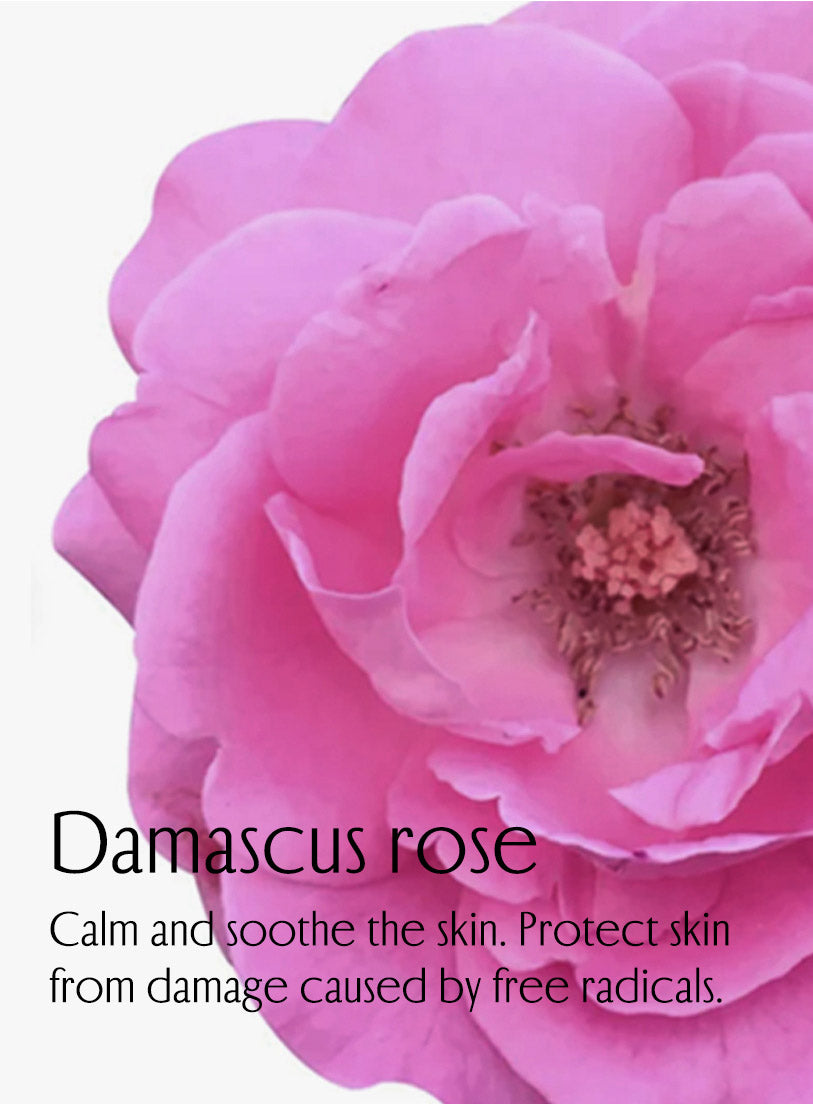 Damascus rose. Calm and soothe the skin. Protect skin from damage caused by free radicals.