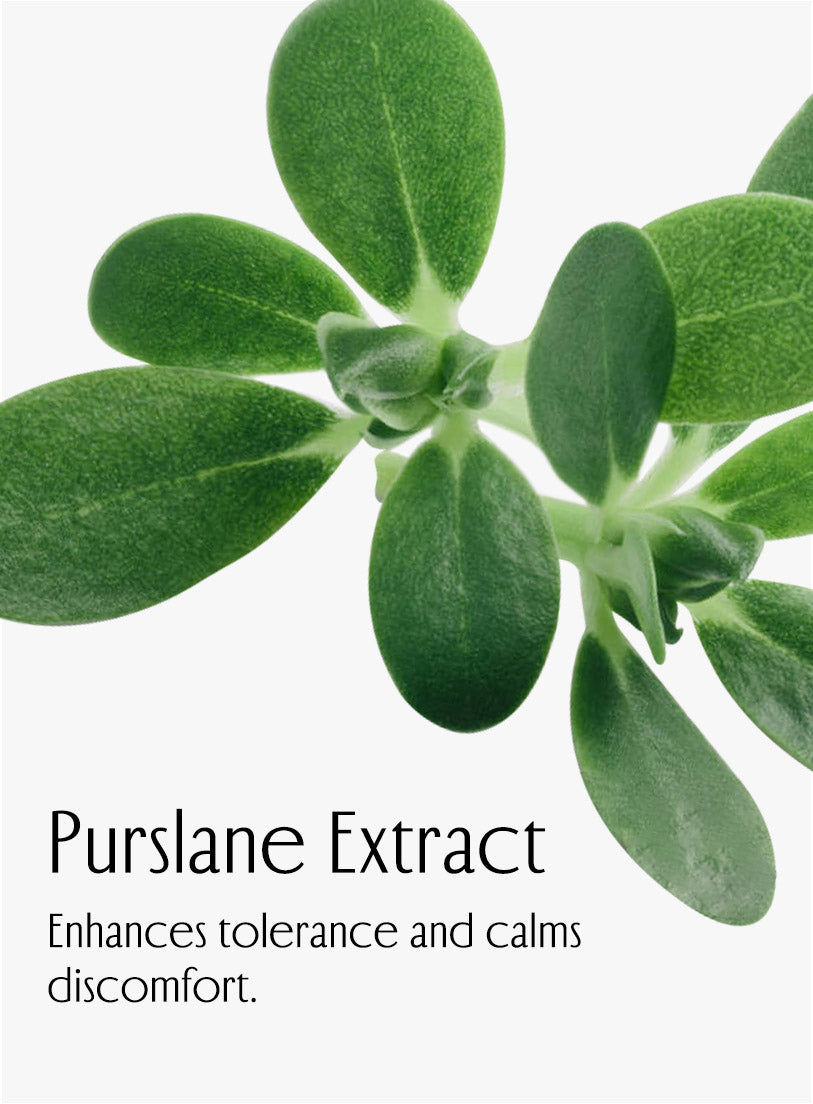 Purslane Extract, Enhances tolerance and calms discomfort