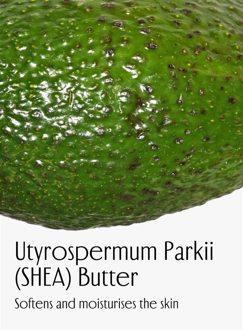 Utyrospermum Parkii (SHEA) Butter, Softens and moisturises the skin